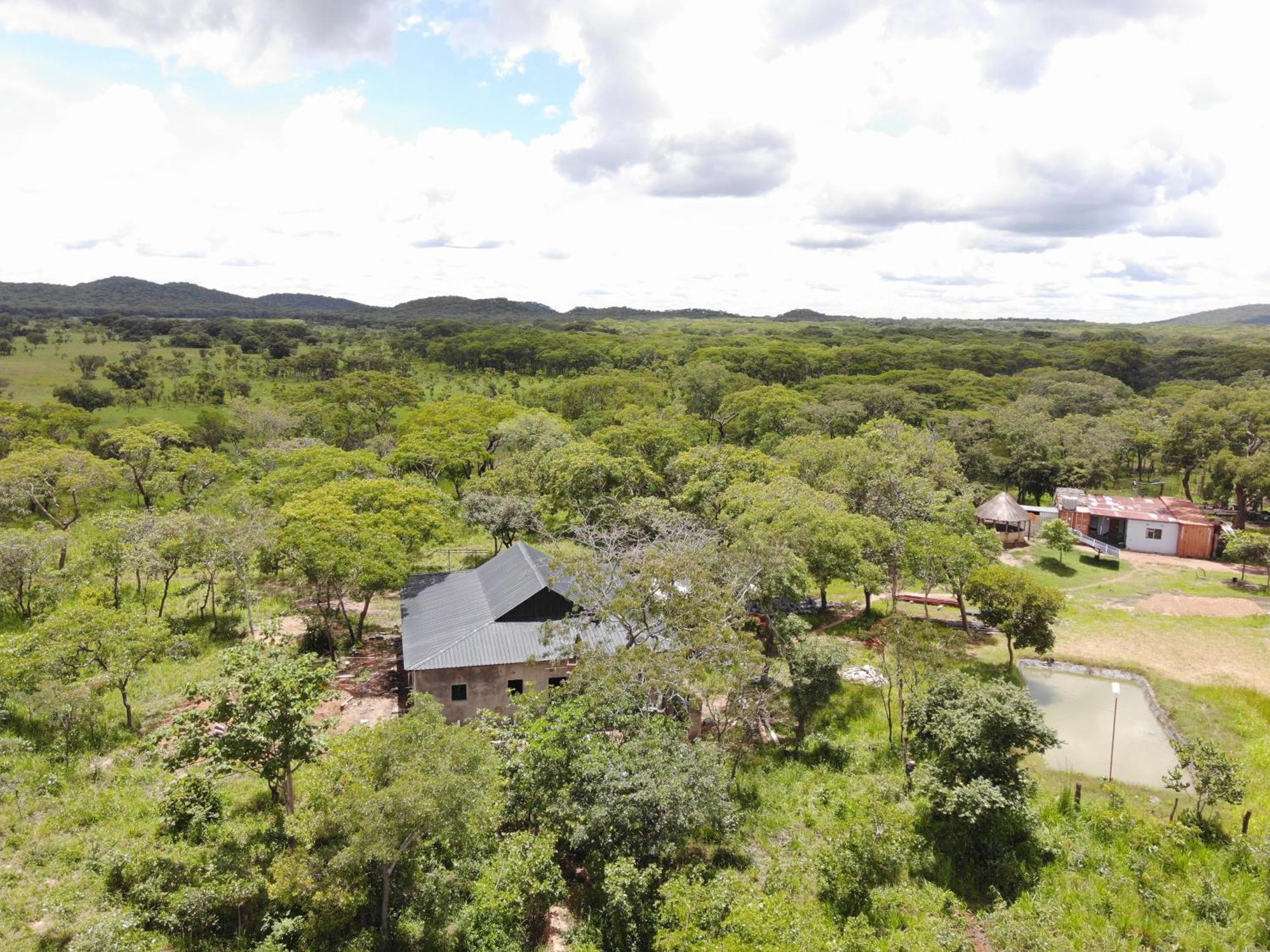 Warthog House-Cozy Country House, 3 Bed Mumbwa المظهر الخارجي الصورة